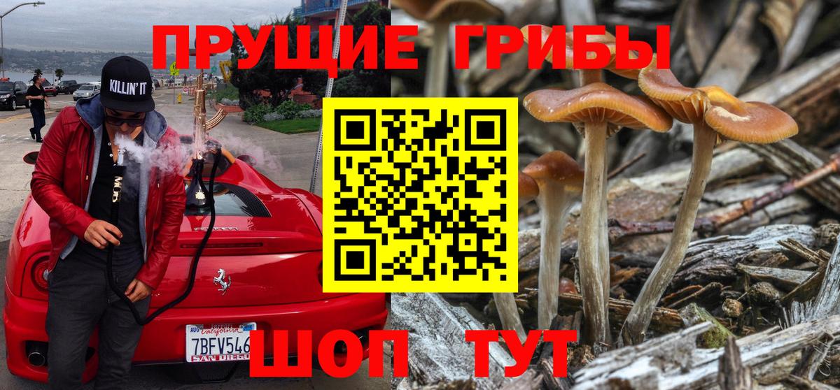 Галлюциногенные грибы GOLDEN TEACHER  Вход с VPN  Нижний Тагил 